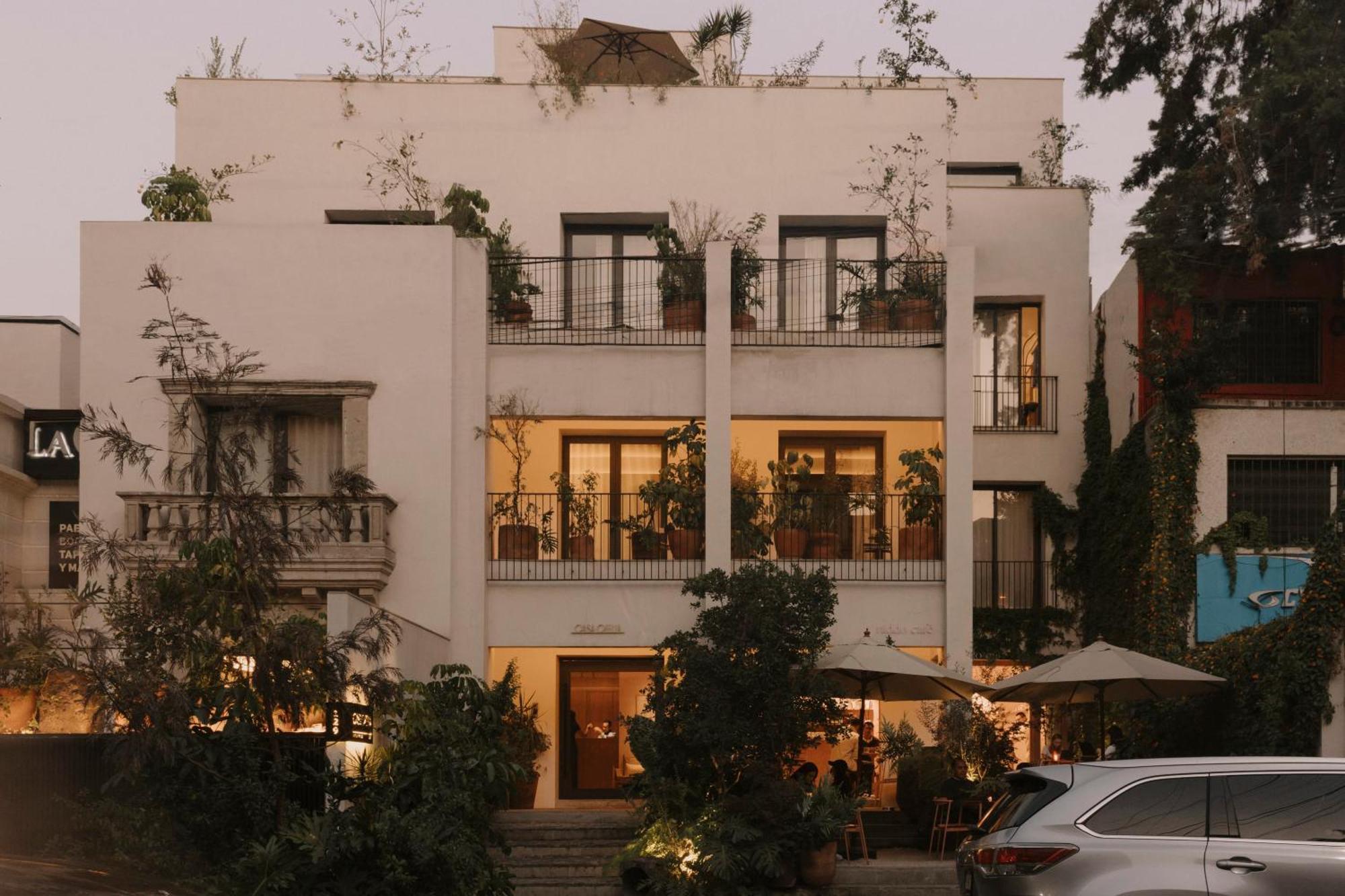 Casa Ofelia Hotel Mexico City Exterior photo