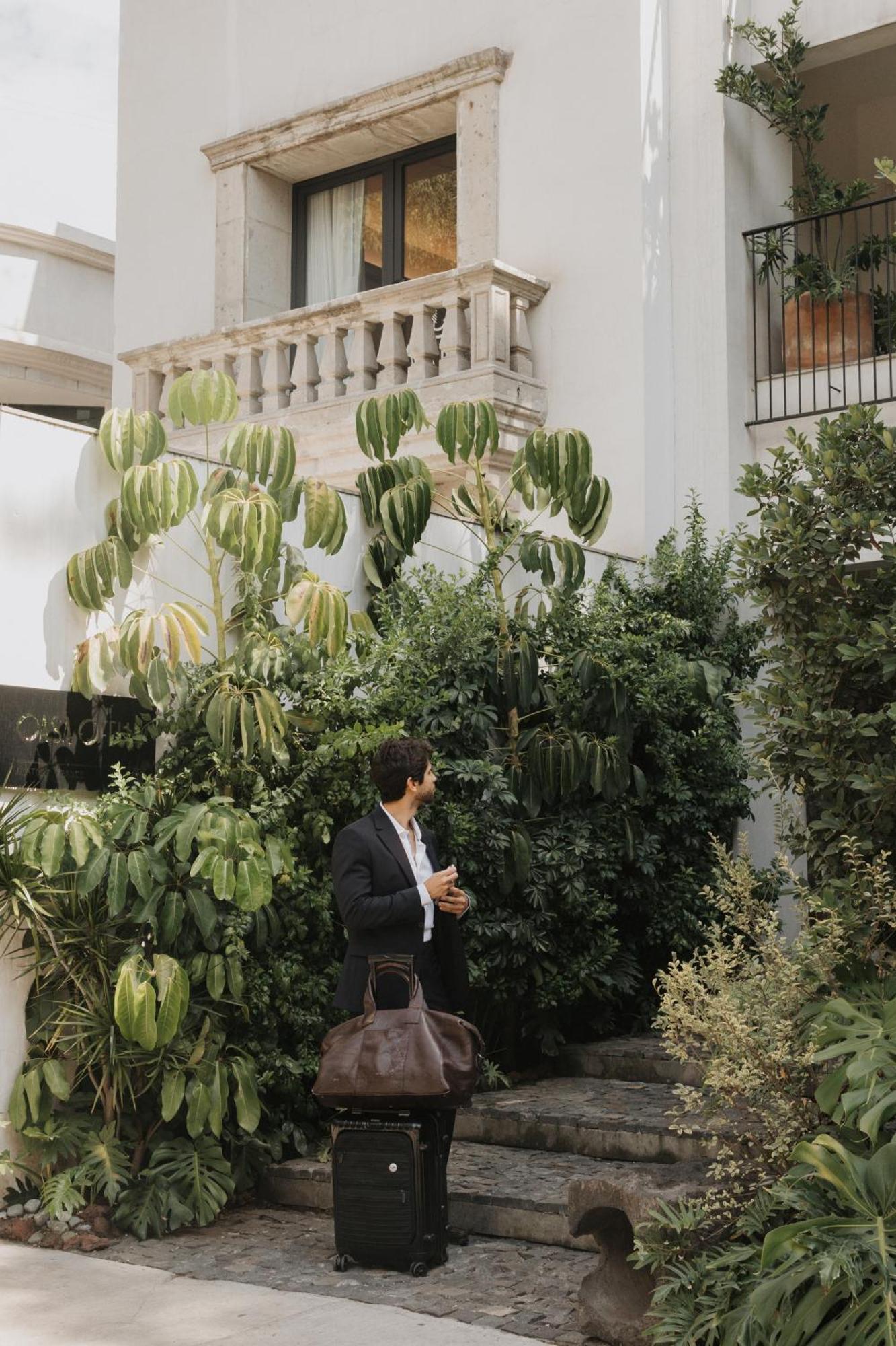 Casa Ofelia Hotel Mexico City Exterior photo