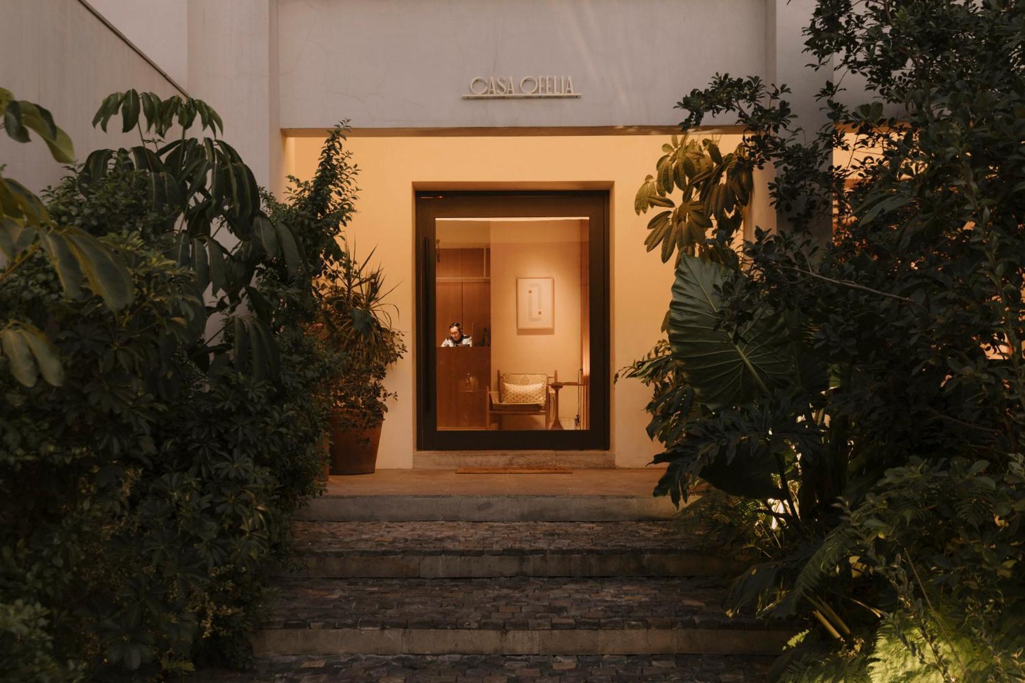 Casa Ofelia Hotel Mexico City Exterior photo